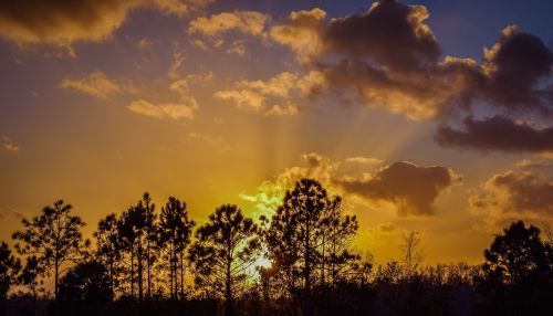 Saulėlydis, Everglades, Į Pietus
