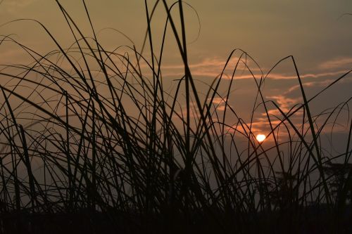 Saulėlydis, Dusk, Twilight, Pieva, Žolė, Nendrės, Saulė, Saulėlydis, Gamta, Kraštovaizdis, Vakarinis Dangus, Debesys, Dangus, Vakaras, Afterglow, Tapetai, Fonas