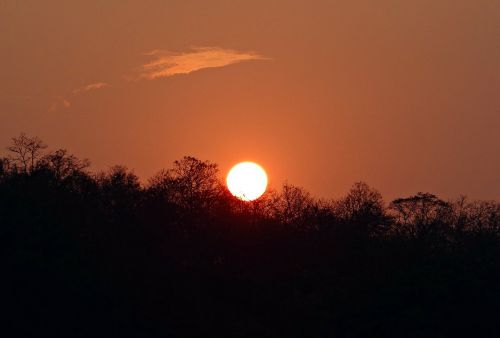 Saulėlydis, Švytėjimas, Miškas, Tattihallia, Karnataka, Indija