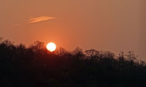 Saulėlydis, Švytėjimas, Miškas, Tattihallia, Karnataka, Indija