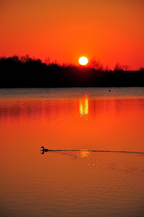 Saulėlydis,  Vanduo,  Vakaras,  Aušra,  Dusk,  Kraštovaizdis,  Be Honoraro Mokesčio