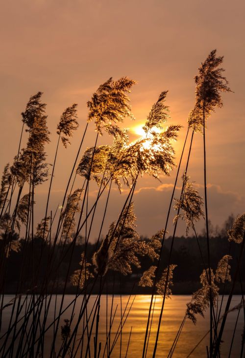 Saulėlydis,  Vakaras,  Ežeras,  Twilight,  Be Honoraro Mokesčio