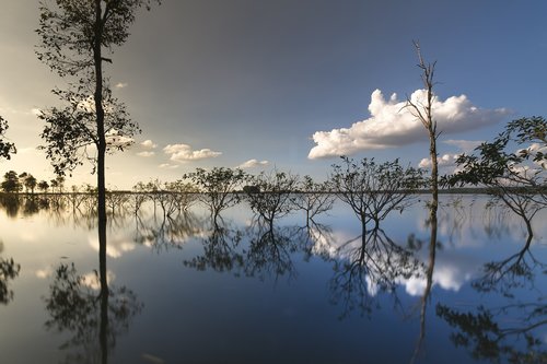 Saulėlydžio,  Lauko,  Medis,  Fonas,  Gražus,  Natūralus,  Žalias,  Grožio,  Dangus,  Vandens,  Pilnas Spalvų,  Augalų,  Kelionė,  Pavasaris,  Sezonas,  Peizažas,  Lauke,  Kaklo,  Vieno,  Saulė,  Atspindi,  Įspūdingas,  Parkas,  Tropical,  Miškas,  Scena,  Ruduo,  Vaizdingas,  Bangų,  Rytas,  Vien,  Sunrise,  Liūdnas