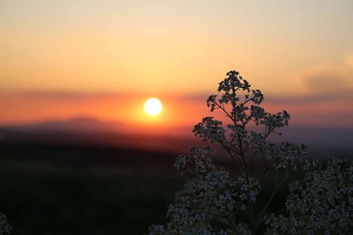 Saulėlydžio,  Dawn,  Saulės,  Gamta