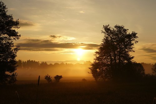 Saulėlydžio,  Dawn,  Saulė,  Medis,  Pobūdį,  Rūkas