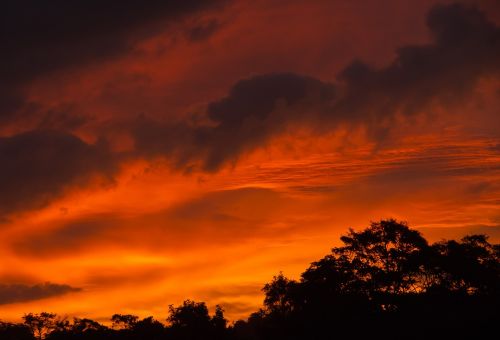 Saulėlydis, Dangus, Raudona, Oranžinė, Debesys, Horizontas, Medžiai, Australia
