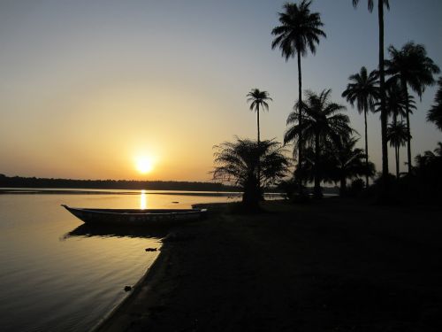 Saulėlydis, Gvinėja, Afrika, Palmės
