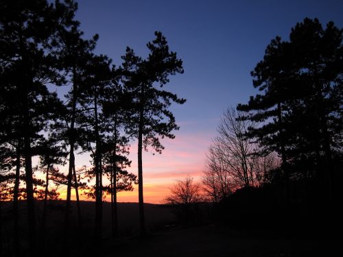 Saulėlydis, Miškas, Abendstimmung