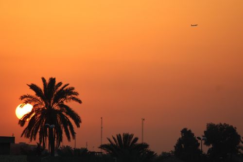 Saulėlydis, Duomenys, Medis, Oranžinė, Saulė, Lėktuvas, Iraq