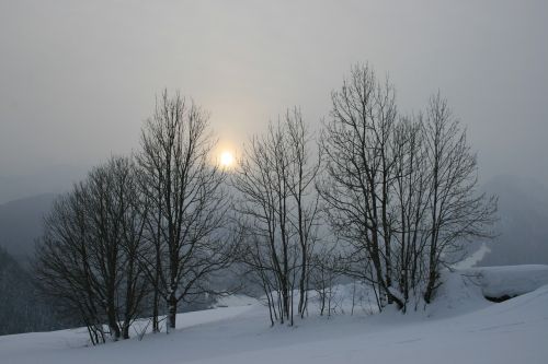 Saulėlydis, Žiema, Medis, Šaltas, Sniegas, Rūkas, Kalnas