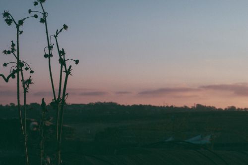 Saulėlydis, Dusk, Dangus, Kraštovaizdis, Gamta, Augalai, Lauke