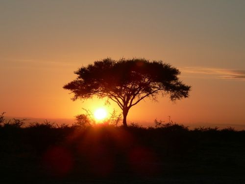 Saulėlydis Afrika, Stepė, Vakaras, Abendstimmung