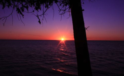 Saulėlydis,  Violetinė,  Kraštovaizdis,  Medis,  Vaizdingas,  Saulėlydis Per Michigan Ežerą