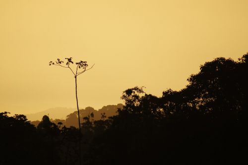 Saulėlydžiai, Salento, Quindio, Kolumbija