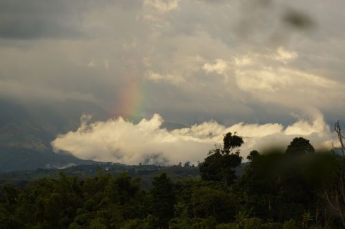 Saulėlydžiai, Peizažai, Quindio, Kolumbija