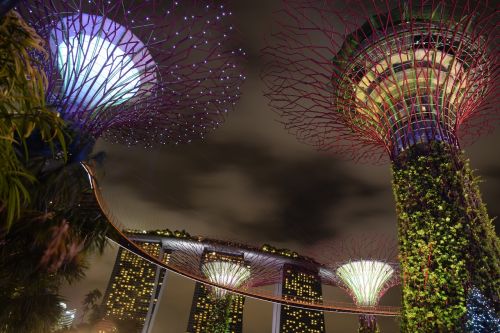Supertree, Singapūras, Sodas Prie Įlankos