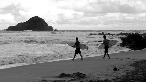 Surfer, Sala, Papludimys, Atogrąžų, Banglenčių Sportas, Hawaii