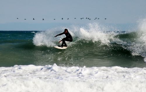 Surfer, Banglentė, Naršyti, Banglenčių Sportas, Laisvalaikis, Įgūdis, Papludimys, Jūra, Vandens Sportas, Banga, Vandenynas, Sauskelnes, Vyras