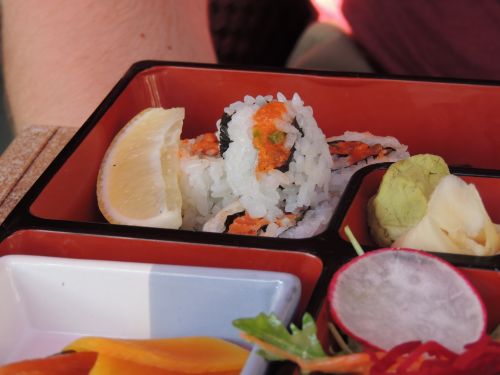 Sushi,  Bento,  Dėžė,  Japanese,  Ryžiai,  Sushi Bento Dėžutė