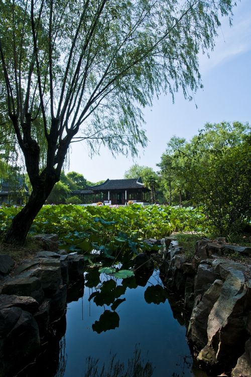 Suzhou, Pradėti Sodą, Sodas, Gudobelė, Lotoso Lapai, Žalias, Gluosnis, Kinų Senovės Architektūra, Meno Samprata