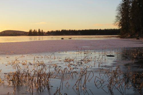 Švedija, Žiema, Soutujärvi, Norrbotten, Sniegas, Saulėlydis, Peizažai