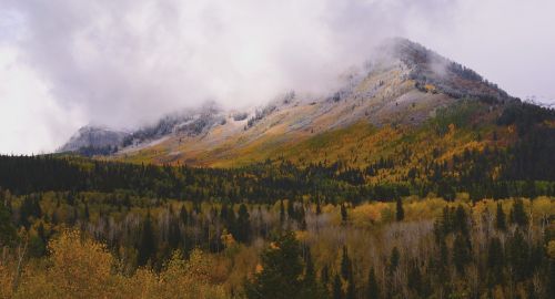 Valymas, Kalnas, Rūkas, Kraštovaizdis, Kelionė, Vaizdingas, Žalias, Slėnis, Laukiniai, Geltona, Miškas, Ruduo, Kritimas, Lapai, Saulės Šviesa, Peizažas, Alpių, Auksas, Sezoninis, Gamta, Sezonas, Lauke, Medis, Lapai, Spalvinga, Gyvas, Miškas, Lapija, Šviesa