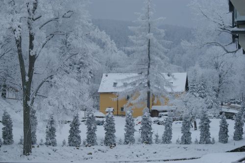 Swieradow Zdroj, Lenkija, Sniegas, Žiema, Spalvos, Medžiai, Gamta, Žiemos Nuotaika, Balta