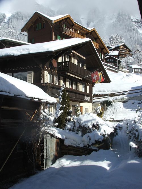 Swiss, Nameliai, Tradicinis, Wengen, Alpės, Šveicarija, Žiema, Alpių