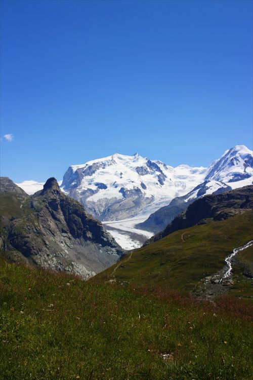 Swiss, Ledynas, Kalnas