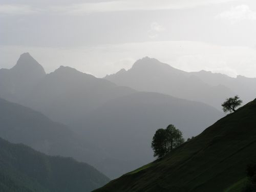 Šveicarija, Kalnai, Alpių, Medis, Kalnų Panorama, Miglotas, Kietas, Kalnų Viršūnių Susitikimas