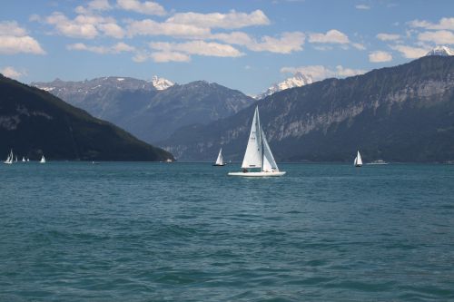 Šveicarija, Brienz Ežeras, Kalnai, Alpių, Kraštovaizdis, Ežeras, Vanduo, Vasara, Dangus, Panorama, Vaizdingas, Alpės, Berni Oberland, Laivas, Buriu, Boot, Balta