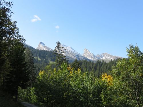 Šveicarija, Kalnai, Wildhouse, Gamta