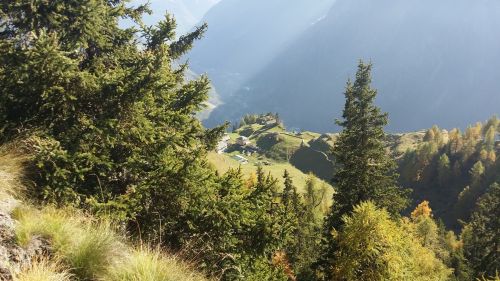 Šveicarija,  Panorama,  Kalnas,  Poschiavo,  Saulė,  Žalias,  Gamta,  Švieži & Nbsp,  Oras,  Šveicarijos Panorama