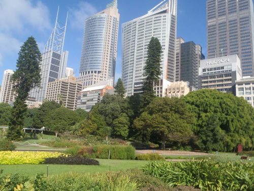 Sidnėjus, Australia, Miestai, Sidnėjaus Botanikos Sodas, Sidnėjaus Parkas, Sidnėjaus Aukštybiniai Pastatai, Panorama