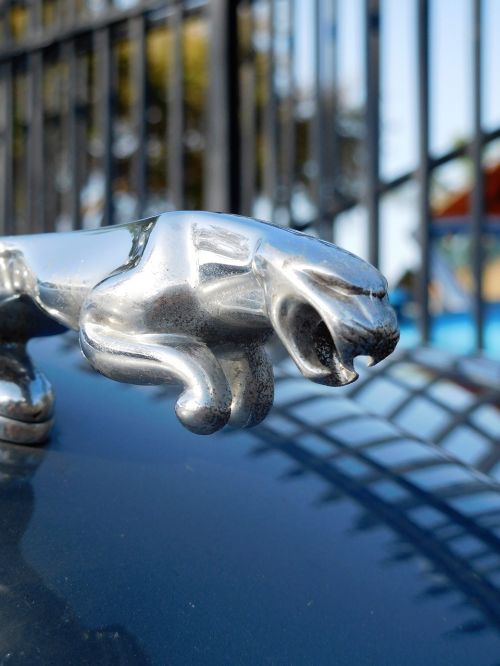 Simbolis, Automobilio Prekės Ženklas, Jaguar Car, Piktograma