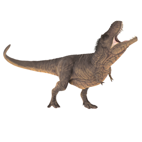 T-Rex, Priešistorinis, Dinozauras, Jurassic, Tyrannosaurus, Ropliai, Išnykęs, Plėšrūnas