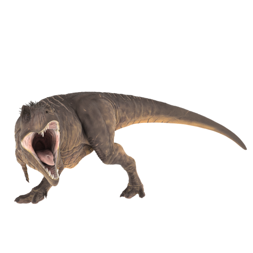 T-Rex, Priešistorinis, Jurassic, Tyrannosaurus, Dinozauras, Išnykęs, Plėšrūnas, Ropliai