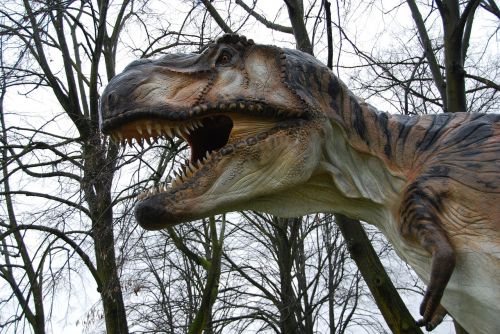T-Rex, Dinozaurai, Dantys, Monza Parkas