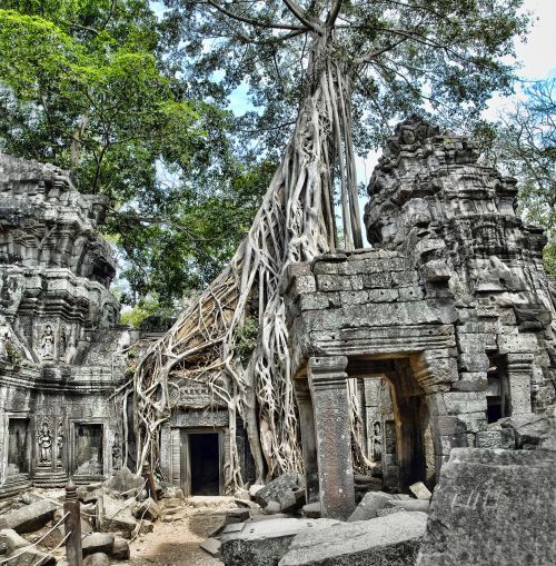 Ta Prohm, Kambodža, Angkor, Wat, Turizmas, Architektūra, Kelionė, Orientyras, Senovės, Sugadinti, Medis