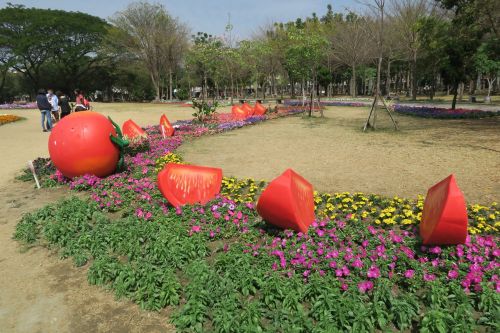 Tainan Gėlės Siūlo, Pomidoras, Pievos Ūkių Parkas