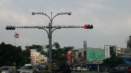 Taivanas, Kaohsiung, Miestas