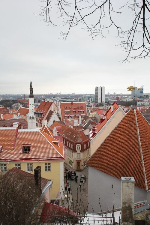 Tallinn, Stogas, Raudona