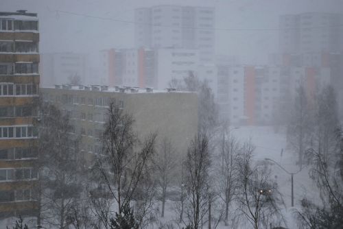 Tallinn, Sniegas, Namas, Sniegas, Šaltas, Ledinis