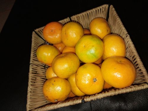 Mandarinas, Joe Saenggyul, Citrusiniai