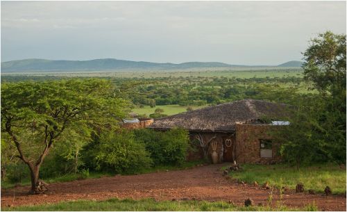 Tanzanija, Serengeti, Safari
