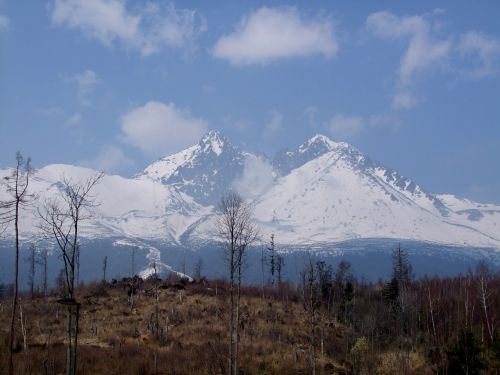 Tatras, Kalnai, Miškas, Kraštovaizdis, Gamta, Debesys, Akmenys, Kietas, Žiema, Sniegas, Medis, Kalnas, Akmuo
