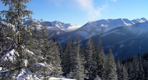 Tatry, Lenkija, Kalnai, Kraštovaizdis, Žiema, Nacionalinis Parkas