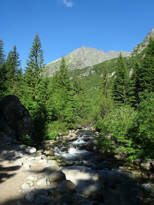 Tatry, Kalnai, Aukštas Tatras, Kraštovaizdis, Gamta