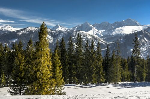 Tatry,  Sniegas,  Kalnai,  Žiema,  Be Honoraro Mokesčio