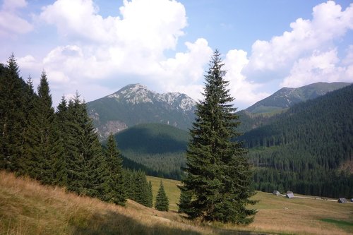 Tatry,  Lenkija,  Kalnai,  Kraštovaizdis,  Pobūdį,  Nacionalinis Parkas,  Lakas Tatrai,  Turizmas,  Panorama,  Pėsčiųjų Takai,  Top,  Peržiūrėti,  Kalnų Grožis,  Vaizdas Iš Viršaus